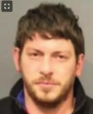 Auburn man pleads guilty to aggravated vehicular homicide